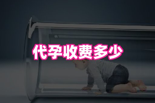 821孕网 1