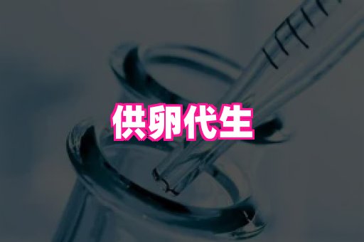 821孕网 3
