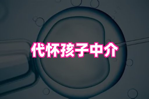 821孕网 4